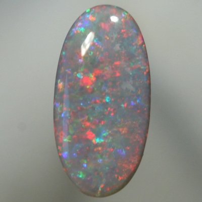 SOLID SEMI BLACK OPAL Floral Harlequin pattern with pretty fire colours of red and blue with a touch of green